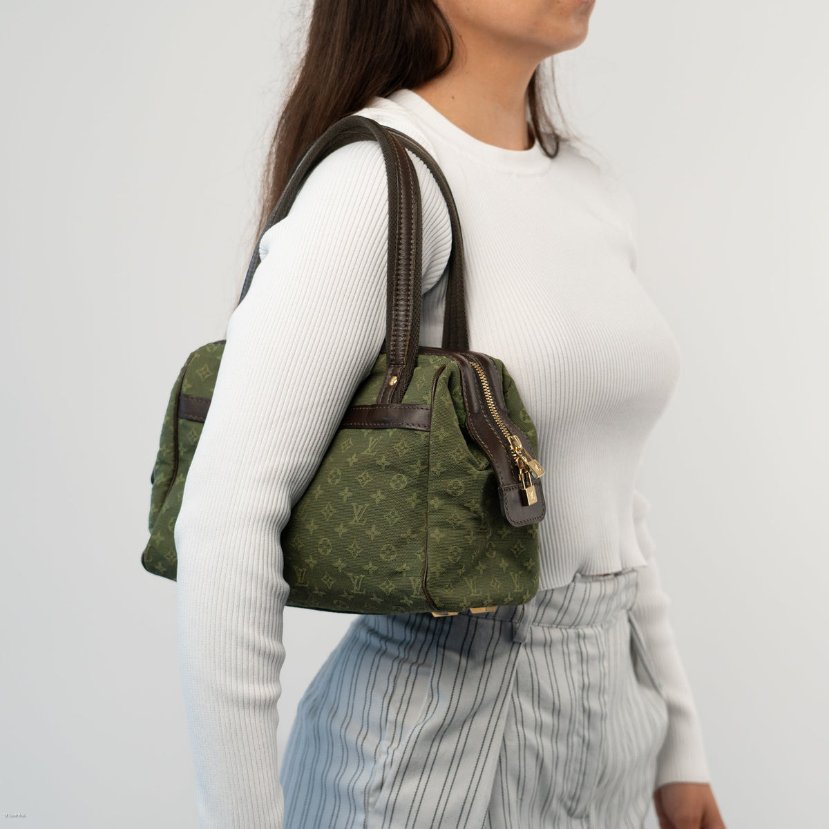 Louis Vuitton Josephine Monogram Mini Lin Tote - St. Luxe